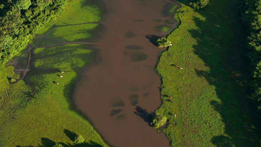 High angle drone footage showing horses grazing in a lush green pasture next to a winding river