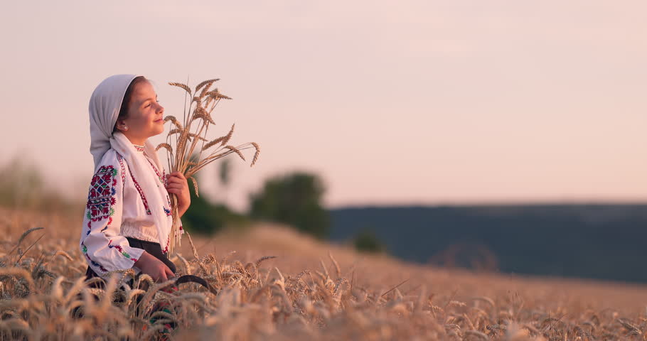Bulgarian girl in ethnic folklore bulgarian costume hold golden wheat straws and sickle in harvest field, harvesting and agriculture Bulgaria 