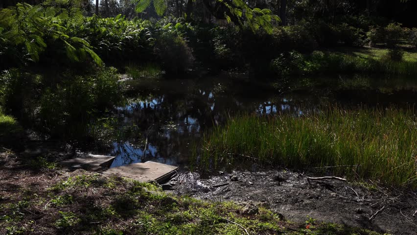 A small pond where the reflection of trees is visible on its surface; it is truly peaceful. All around, one can see magnificent greenery, shrubs, trees, and grass.
