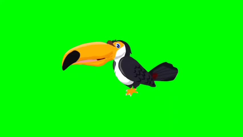 Bird green screen video, Bird walking character. Animal walker character. Walking cartoon character with green screen video animation with chroma key.