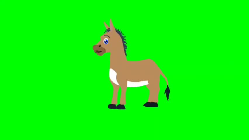 illustration of a cartoon donkey. Donkey walking character. Walking animal cartoon character with green screen video animation with chroma key.