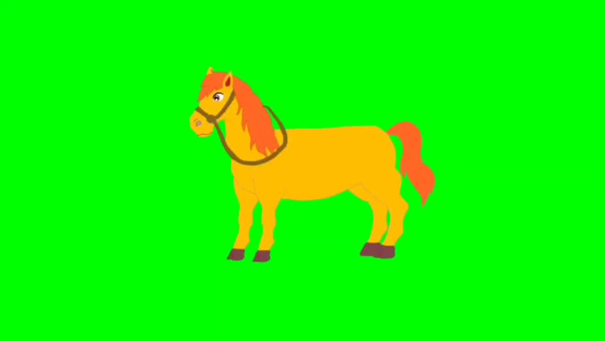 vector illustration of a horse. Horse walking character. Walking animal cartoon character with green screen video animation with chroma key.