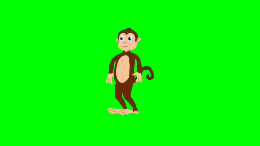 Illustration of monkey. Monkey walking character. Walking animal cartoon character with green screen video animation with chroma key.