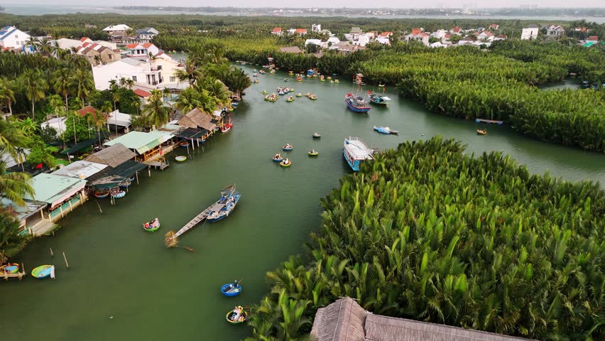 Aerial view of traditional round basket boats on a river through a coconut forest in hoi an, vietnam.