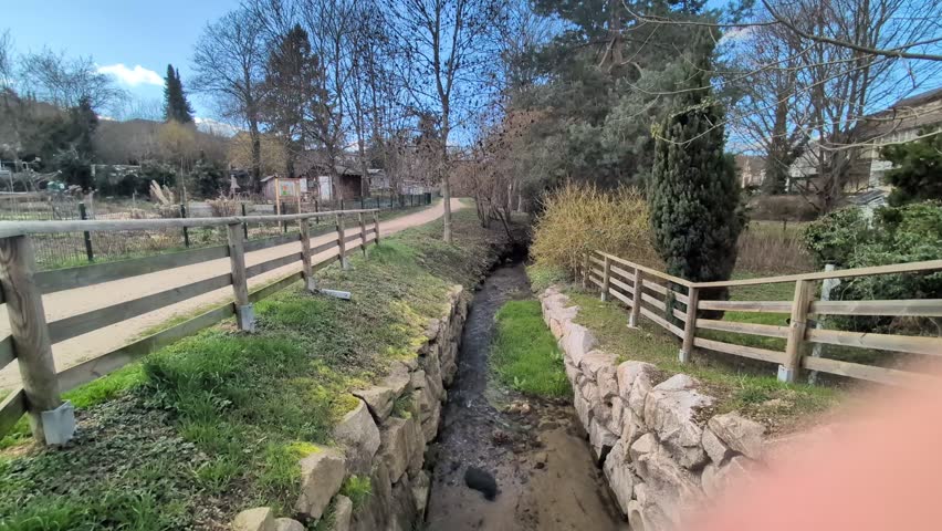 The river flows in early spring