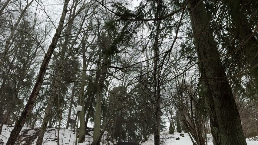 Snow-covered staircase in a winter park captured in 4K resolution. Stone steps covered with fresh snow, surrounded by frosted trees and a calm atmosphere of a cold winter day. Cinematic urban landscape, concept of silence, solitude and seasonal change. Ultra HD, high detail.
