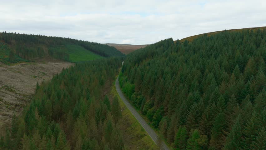 Peaceful mountain road curving through dense pine forest. Serene countryside route winding along green wooded valley. Quiet scenic highway stretching between evergreen hills