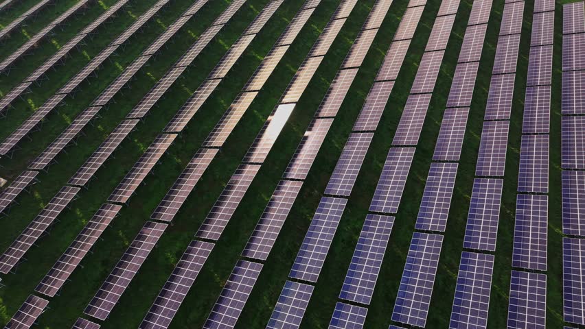 Solar panels are arranged in rows in a large field. The panels reflect sunlight as they work to generate energy. The setting is bright and suitable for solar energy production.