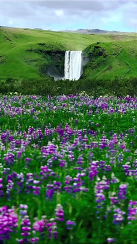 Majestic Waterfall Over Lush Green Hills with Purple Wildflowers