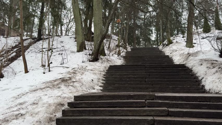 Snow-covered staircase in a winter park captured in 4K resolution. Stone steps covered with fresh snow, surrounded by frosted trees and a calm atmosphere of a cold winter day. Cinematic urban landscape, concept of silence, solitude and seasonal change. Ultra HD, high detail.