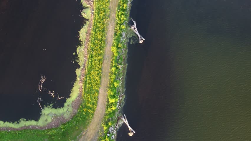 Aerial shots of Nature Preserve off the coast of Lake Michigan in Green Bay Wisconsin at sunrise. Approaching Bird