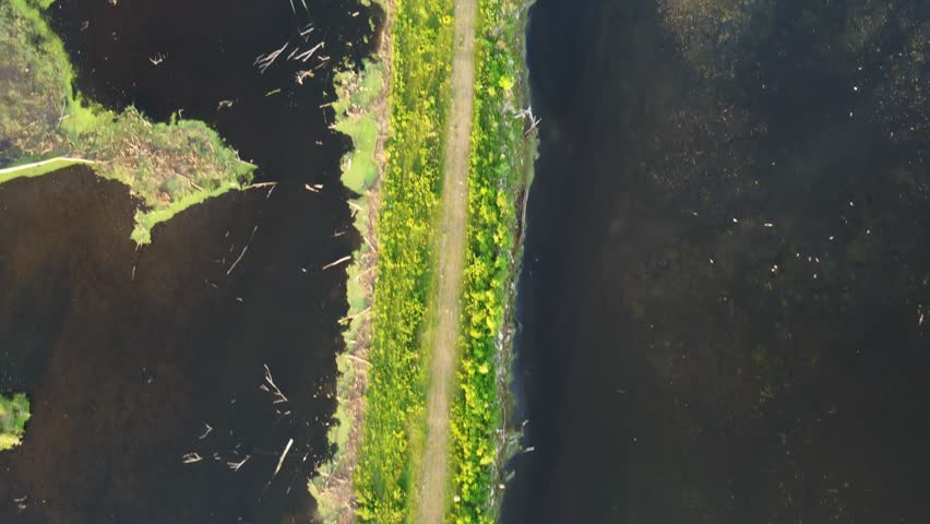 Aerial shots of Nature Preserve off the coast of Lake Michigan in Green Bay Wisconsin at sunrise. Approaching Bird