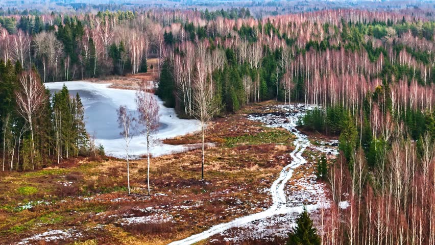 Aerial view of frozen lake in birch forest during early spring thaw