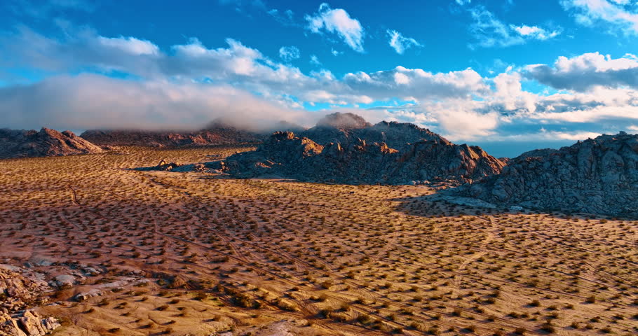 Multiple shrubs grow in the sandy sunlit desert. Beautiful clouds coat the bare rocks. Rising over the stunning landscapes of Joshua Tree National Park, California, USA.
