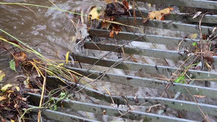 Mudguard in a stream after a long rain