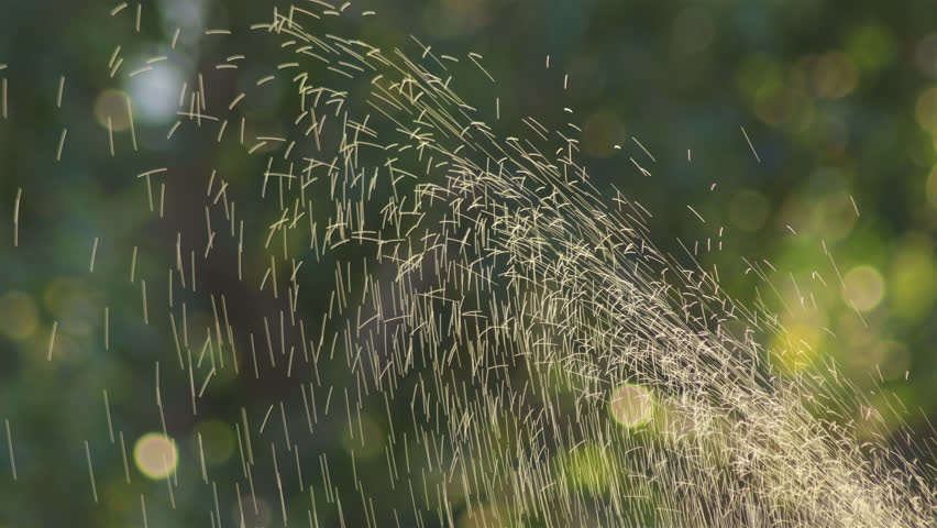 Drip irrigation moving at sunset