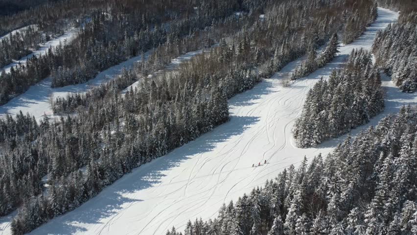 Three skiers ascend a pristine snow-covered slope in single file, bordered by a dense, freshly snow-covered forest, following winding ski tracks under a winter sun, in a scene of outdoor adventure. Mont-Castor, Matane, Quebec, Canada, 2026.