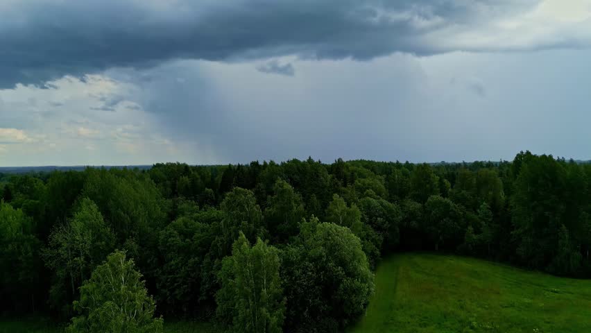 Aerial view of dense forest under dark storm clouds with visible rain shafts over green countryside