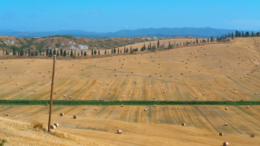 Rolling tuscany hills with hay bales and cypresses. Golden harvested wheat fields with round hay bales rolling across the picturesque tuscan hills under a clear blue sky, a classic italian landscape
