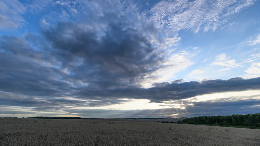Golden sunset panorama, Peaceful sunset scene with colorful clouds and natural surroundings, Vivid evening sky above open plains featuring textured ground and distant trees