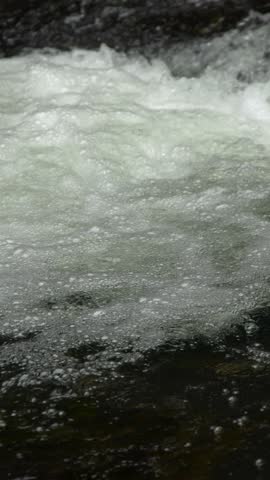 A medium shot captures turbulent white water flowing rapidly over rocks in a tropical stream
