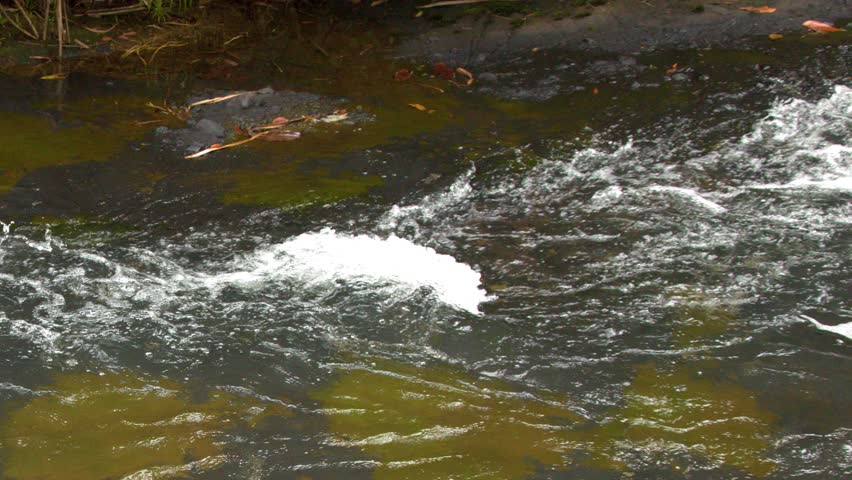 Static medium shot of white water rapids rushing over rocks in a tropical river