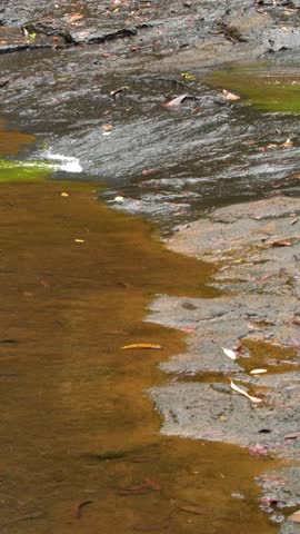 Static high angle shot of a shallow tropical creek flowing over brown rocks and moss