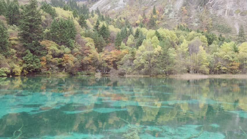 The clear and transparent lake with reflections of colorful forest. Beautiful landscape of Jiuzhaigou National Park in autumn in Sichuan Province China. 4K slow motion footage travel concept.