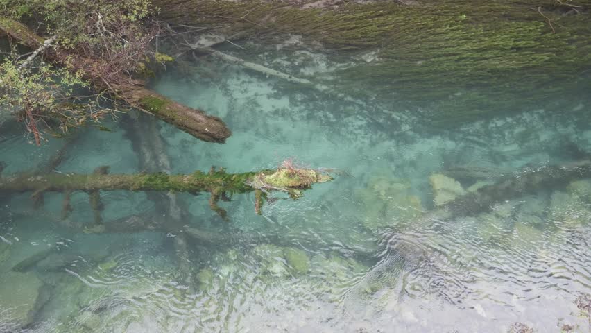 The clear and transparent stream flows with fallen woods in it. Beautiful landscape of Jiuzhaigou National Park in autumn in Sichuan Province China. 4K slow motion footage travel concept.