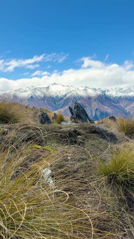 Snow-capped mountains and grassy terrain, peaceful day in Otago, New Zealand