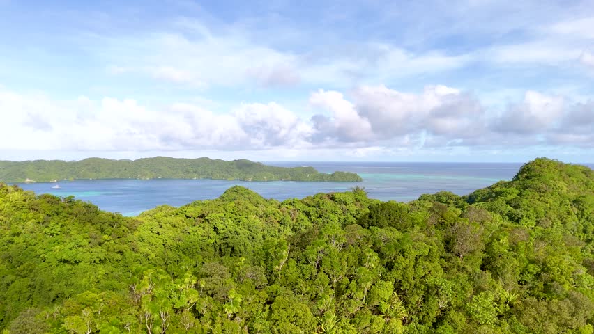Drone footage captures dense green forest canopy overlooking a turquoise lagoon under bright daylight