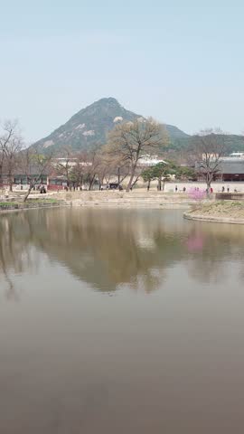 Gyeongbokgung Hyangwonjeong and Azalea Reflection - Vertical 4K Video
