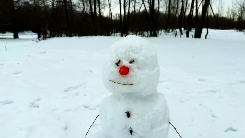 Snowman Winter Park. Reliable Snowman Winter Park Inside Forest Nature Scene. Skilled Snowman Winter Park During Forest Nature Season. Accurate Forest Nature Outdoor Seasonal Holiday. Cold Temperature Weather Condition. White Frosty Ground Surface. Natural Environment Leisure Activity. High Quality Creative Standard. Scenic View Adventure Journey. Small Figure Sculpture Detail. Calm Atmosphere Silence Time. Rural Location Dream Destination. Christmas Celebration Festive Spirit