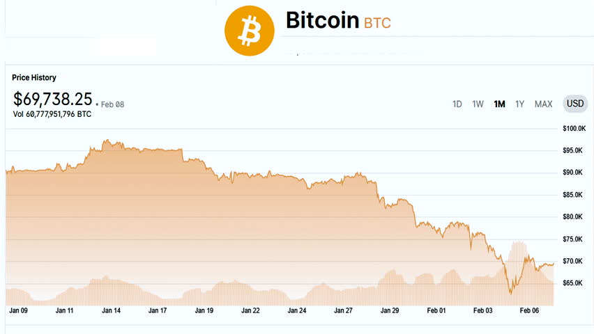 Bitcoin BTC price chart showing monthly decline and volatility, cryptocurrency market correction reflected in monthly trading charts in US dollars.