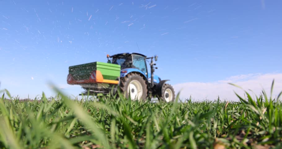 Tractor and spreader fertilizer working on wheat field, slow motion. Farmer with agricultural machinery fertilizing wheat field in winter time. Spreading mineral fertilizer, landscape rural scene - low angle view