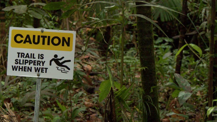 A yellow caution sign stands beside a wooden boardwalk path through dense tropical jungle foliage