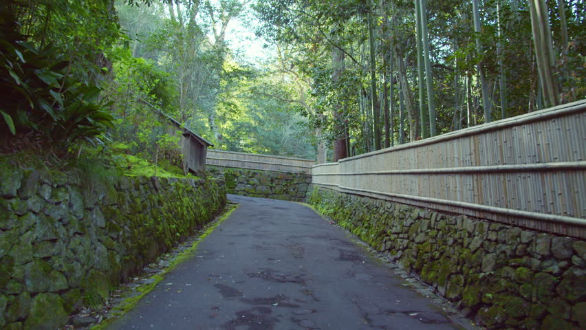 Bamboo grove in the grounds of Anrakuji Temple, Kyoto