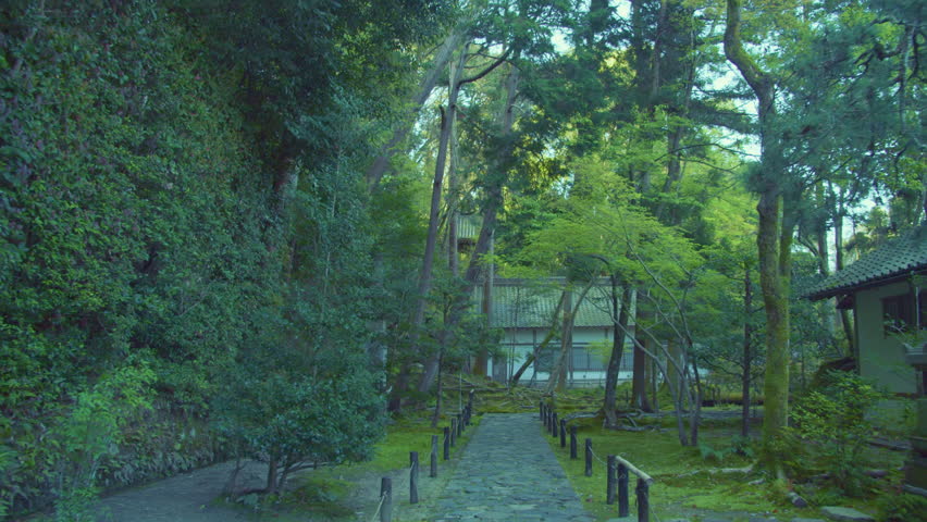 Forest in the grounds of Anrakuji Temple, Kyoto