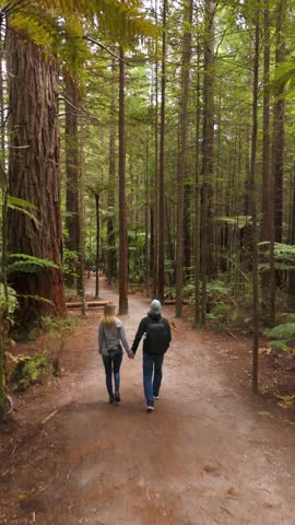 Couple explore calm forest with sequoia trees and silver ferns, vertical drone