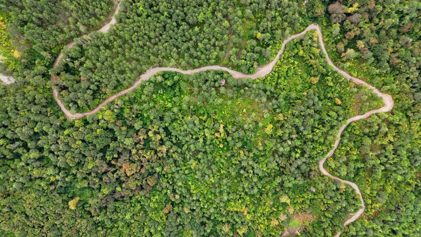 Top down aerial view of winding forest road in Yesilyuva village Abana Kastamonu Turkiye