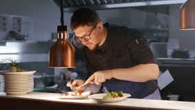 Male chef carefully arranging gourmet duck leg and vegetables on plate with kitchen tweezers under heat lamp while preparing dish in restaurant kitchen - Powered by Shutterstock - Get 15% off with code: PIKWIZARD15