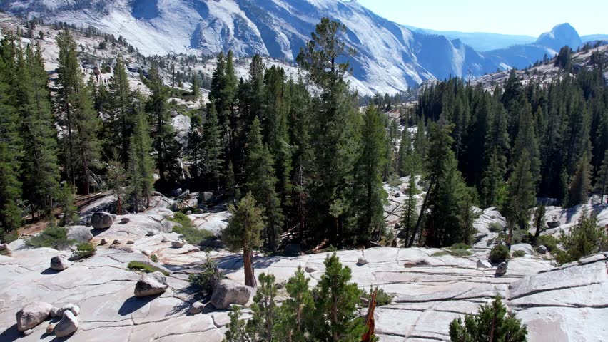 A breathtaking wide-angle view of the Yosemite National Park high country, featuring rugged granite mountains, dense evergreen forests, and iconic landmarks like Half Dome under a clear blue summer sky.