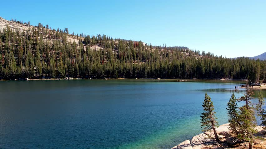 Experience the serene beauty of Tenaya Lake in Yosemite National Park. This wide shot captures the deep blue waters surrounded by dense pine forests and majestic granite mountain slopes under a clear sky, showcasing the untouched wilderness of California