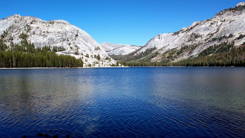 A breathtaking aerial drone shot soaring over the deep blue waters of Tenaya Lake. The scene reveals massive granite mountain domes, lush evergreen forests, and a scenic winding road along the shoreline under a clear blue sky in Yosemite National Park.