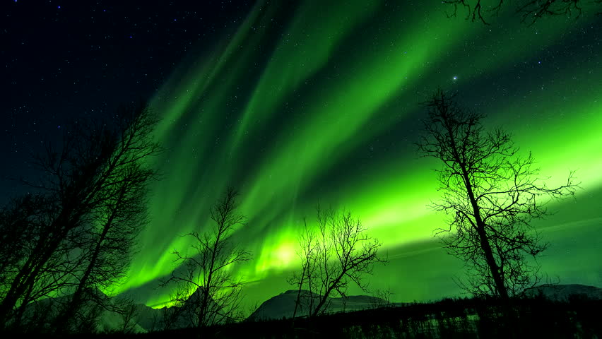 Winter night timelapse under trees of green aurora borealis in Tromso night sky