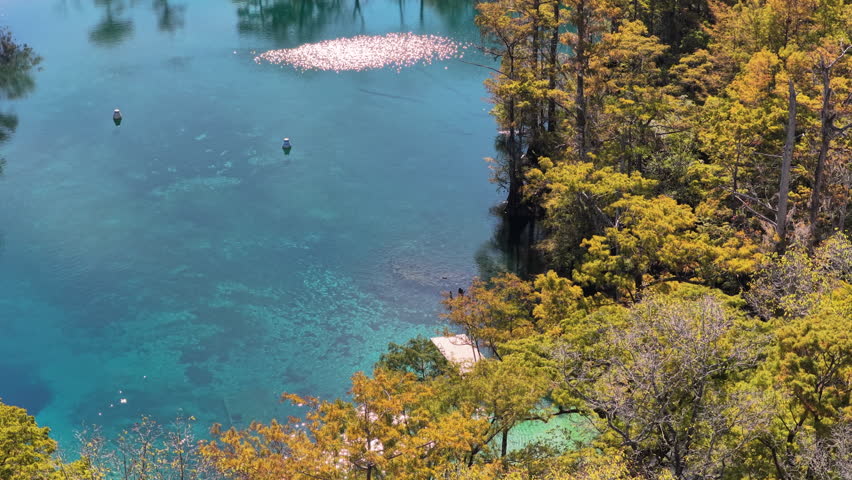 Turquoise spring pool and diving dock at Morrison Springs Florida, divers in water, aerial medium closeup, glistening reflections