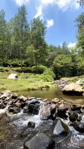Clear water flowing through rocks in a natural river stream surrounded by pine trees and green forest landscape. Peaceful outdoor scenery.