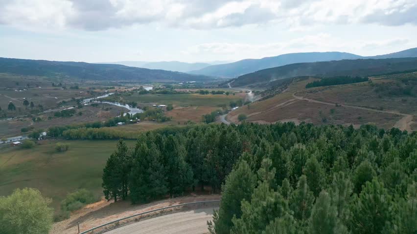 Aerial forward flight over pine forest with winding river valley and hills