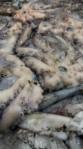 Crushed ice displaying fresh fish and squid with reflective eyes