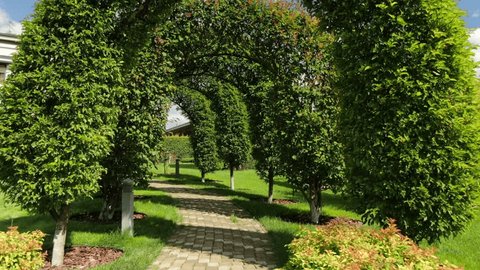 Aerial View of Landscaped Garden Path in Summer